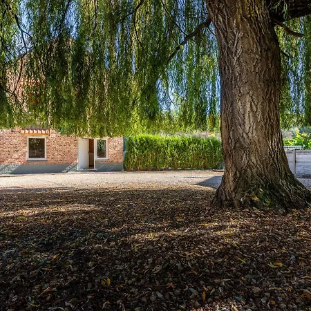 La Petite Maison Au Bord De L'eau Hastiere-par-dela